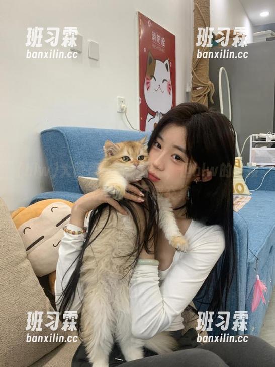 大概是我脑子坏了，但hlw的链接就是让我百感交集-班习霖
