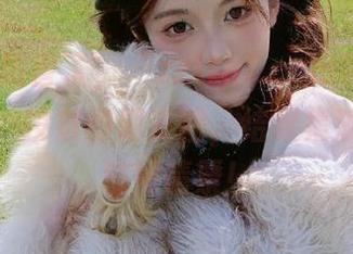 厉害了，“zztt87.ccm黑料”被我收藏、投放到朋友圈，结果集满了单身狗同情票！