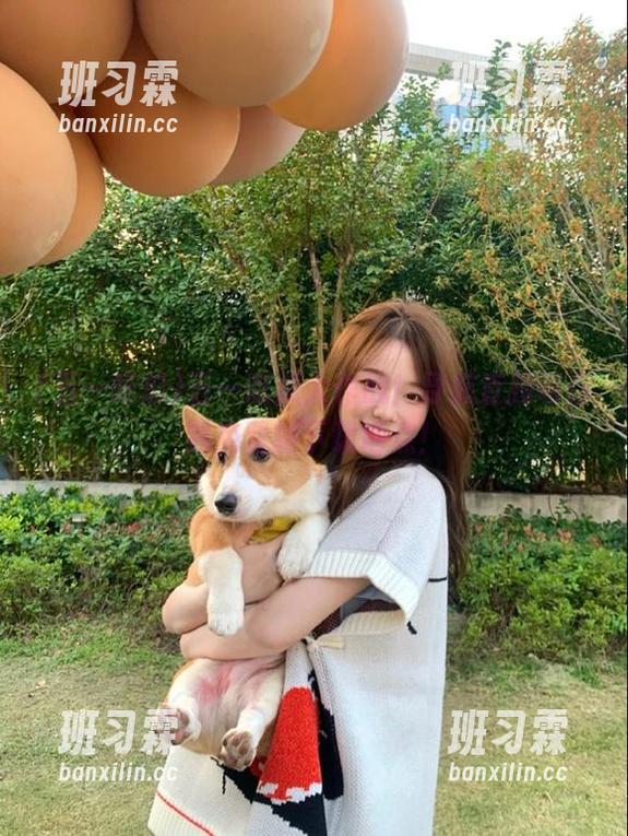 五一吃瓜大作战！导航直接带你到免费版下载地点！-班习霖