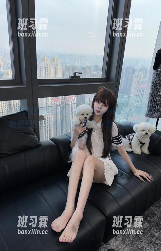 不想错过任何一颗瓜，朝阳吃瓜网51导航帮你掌握每一项“嗑瓜”的新技能！-班习霖