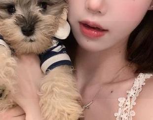 我最爱的“zztt32.ccm黑料不打烊”：每次观看就像一场抽风的现实秀，妙不可言。