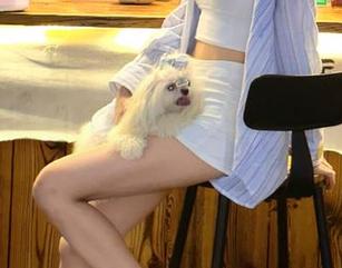 视频导航渐渐成了我的日常，黑料正能量给我带来了点亮眼的素材！