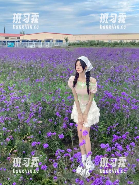 在线追踪！“黑料社”app，每天都能看见哪些八卦转发小说了-班习霖