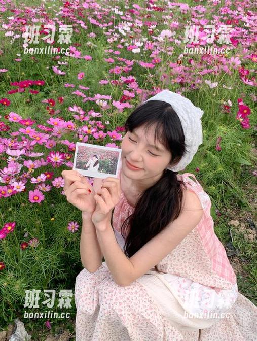 黑瓜吃料一放安卓就炸了,这瓜皮也只懂遮羞?-班习霖 黑瓜吃料一放安卓就炸了,这瓜皮也只懂遮羞?-班习霖